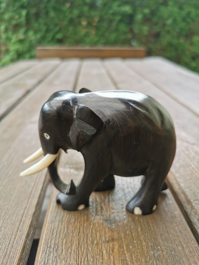 IMG_20210615_140222.jpg IMG_20210615_140222.jpg