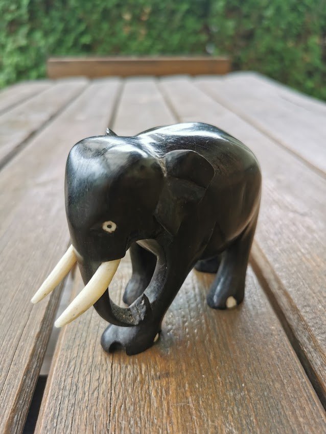 IMG_20210615_140228.jpg IMG_20210615_140228.jpg