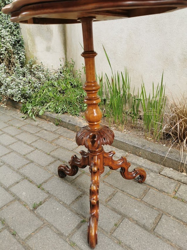 IMG_20210623_094913.jpg IMG_20210623_094913.jpg