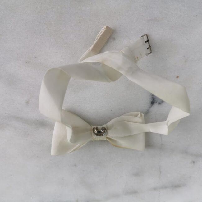 IMG_20210623_100039.jpg IMG_20210623_100039.jpg