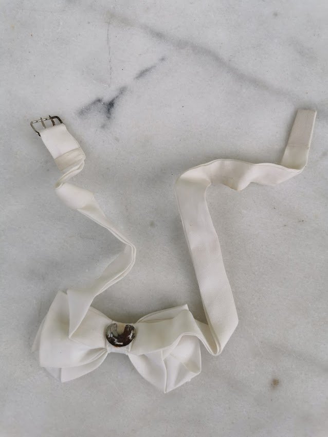 IMG_20210623_100102.jpg IMG_20210623_100102.jpg