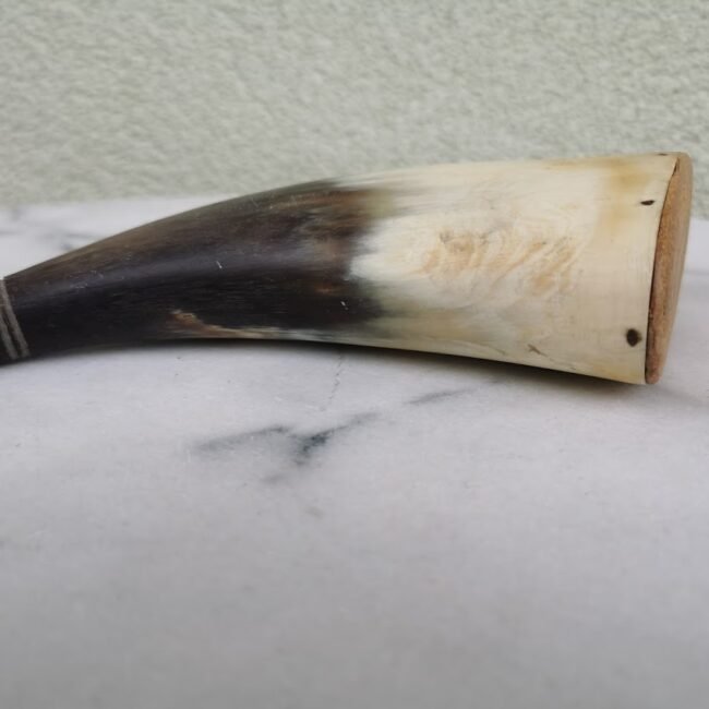 IMG_20210626_095229.jpg IMG_20210626_095229.jpg