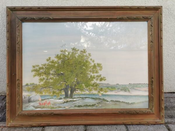 Rėmas medinis, paveikslas su stiklu, antikvarinis. Kaina 77