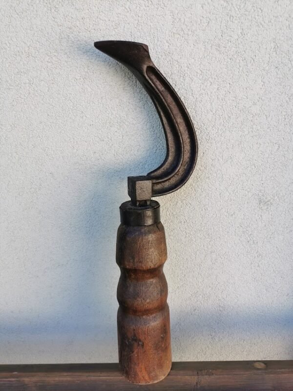 Batsiuvio koja antikvarinė. Stambi. Kaina 58