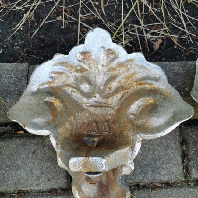 IMG_20210926_121052.jpg IMG_20210926_121052.jpg