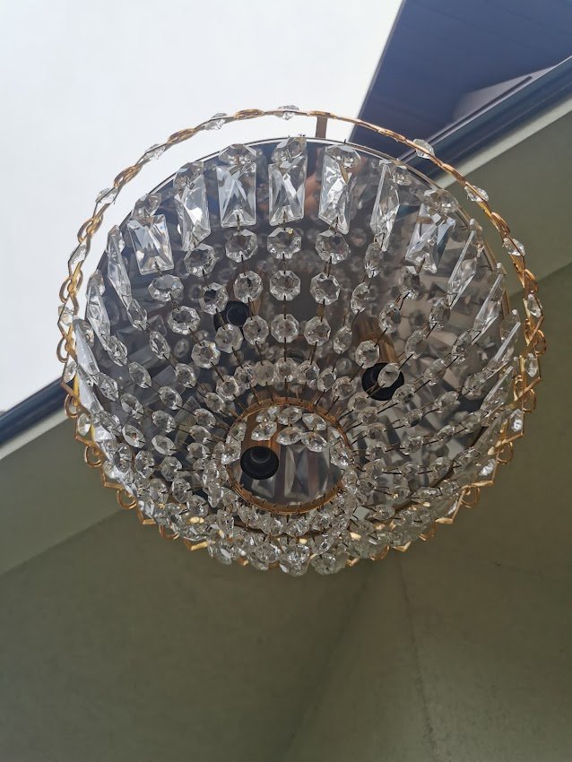 IMG_20211119_131338.jpg IMG_20211119_131338.jpg