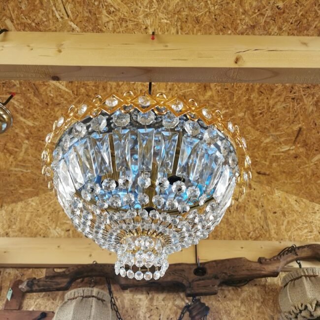 IMG_20211119_131701.jpg IMG_20211119_131701.jpg