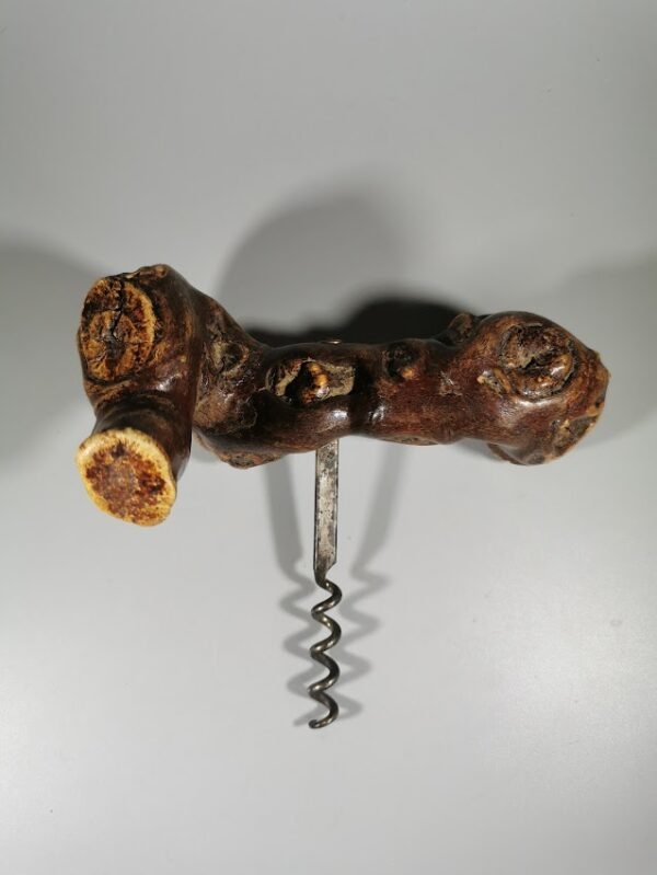 Kamščiatraukis, atidarytuvas vyno buteliui iš medžio šaknies. Tvirtas. Kaina 12