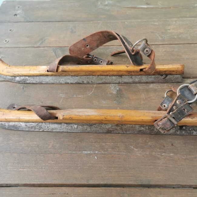 IMG_20220110_101141.jpg IMG_20220110_101141.jpg