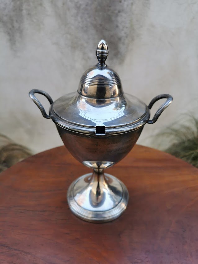 IMG_20220111_104520.jpg IMG_20220111_104520.jpg