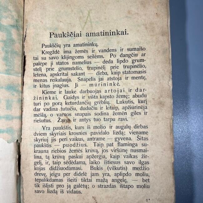 Knyga-Pirmieji-gamtos-pasakojimai-20Vagneris203.jpg