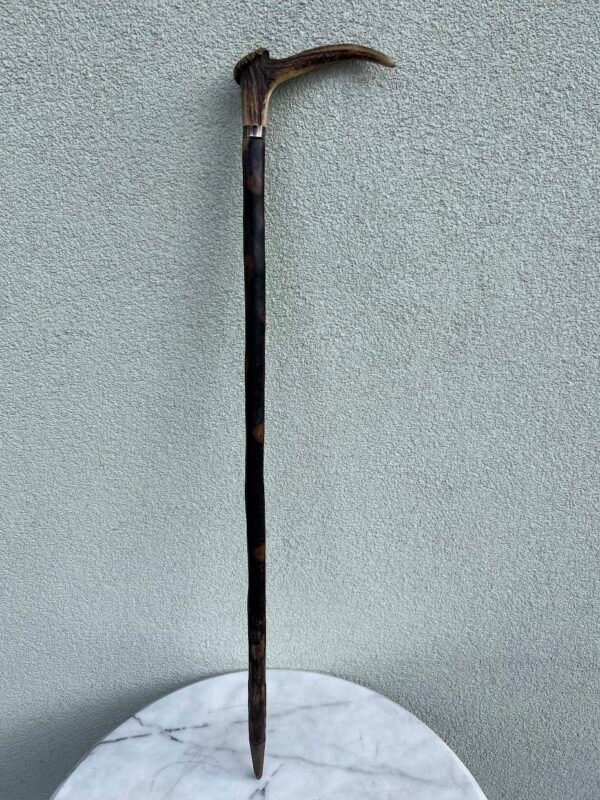 Lazda, lazdelė antikvarinė, rankena pagaminta iš rago, tvirta, medžioklės tema. Tinkama naudojimui. Kaina 108