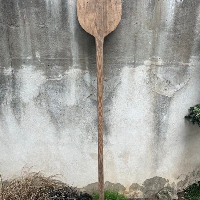 Lize-medine-ilga201.jpg Lize-medine-ilga201.jpg