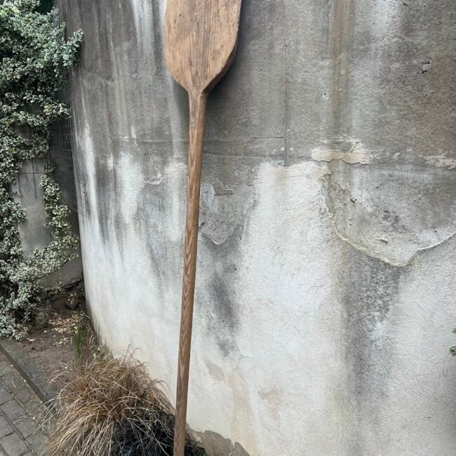 Lize-medine-ilga203.jpg Lize-medine-ilga203.jpg