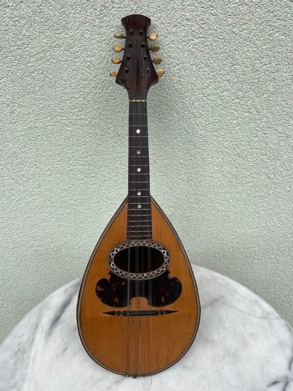 Mandolina antikvarinė, pagaminta „Fratelli Calace“ Neapolyje, Italijoje. „Fratelli Calace“ žinomo mandolinų gamintojas, įkurtas 1876 m. brolių Nicola ir Raffaele Calace. 1901 m. Kaina 468