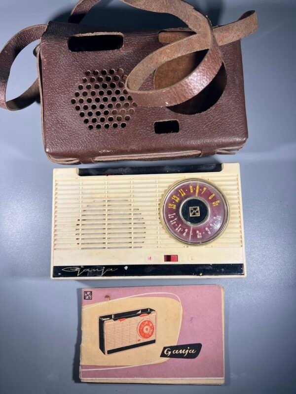 Radija Gauja – tai pirmasis nešiojamasis tranzistorinis radijo imtuvas, sukurtas ir gamintas Rygos radijo gamykloje (RRR) sovietinėje Latvijoje. 1960-1964 m. Netikrintas. Kaina 43