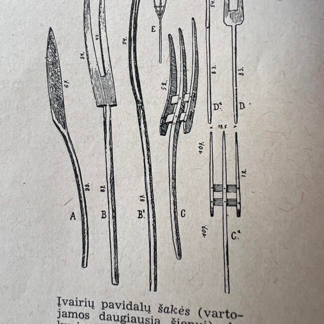 Sake20iliustracija.jpg Sake20iliustracija.jpg