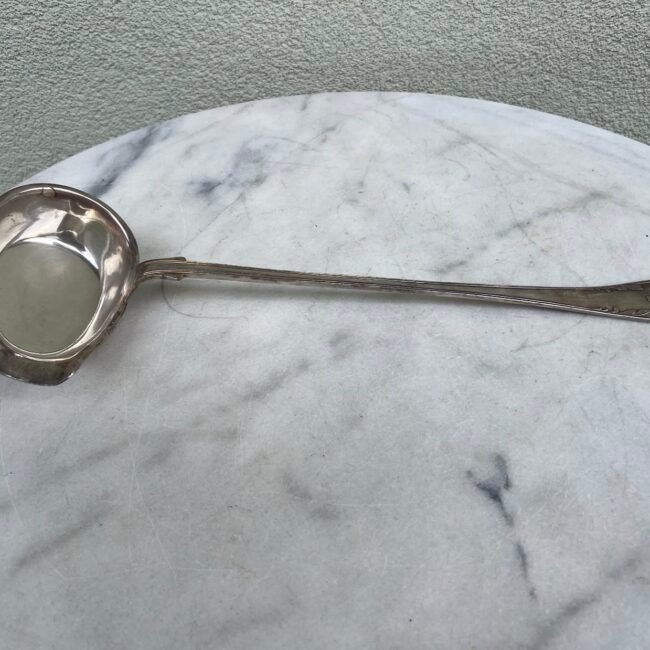 Samtis-sidabruotas-NS203.jpg Samtis-sidabruotas-NS203.jpg