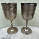 TaurC497s-taurC497-sidabruota-graviruota-E.P.N.S.2030020ml.201.jpg