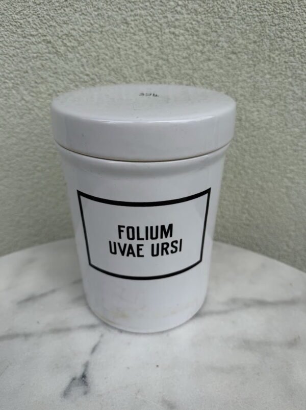 Antikvarinis vaistinės indas „Ditmar-Urbach“ (Čekoslovakija, 1924–1938 m.) – Folium Uvae Ursi