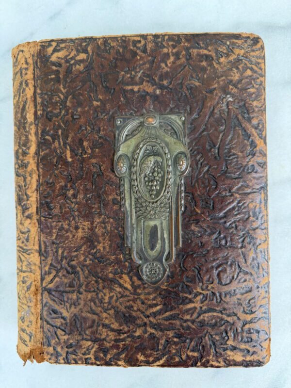 Antikvarinis Jugendstil, Art Nouveau nuotraukų albumas su žalvarine sagtimi (XIX a. pabaiga – XX a. pradžia, 21 x 27 cm)