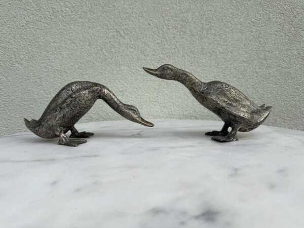 IMG_2125