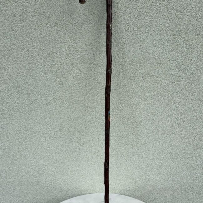tamsios-medienos-zygiu-lazda-su-smaigaliu-90cm.jpg