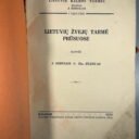 IMG_3004